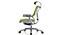 Main Office Chair