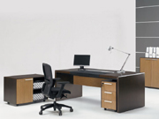 Classical Executive Desk CG-JAN2-06